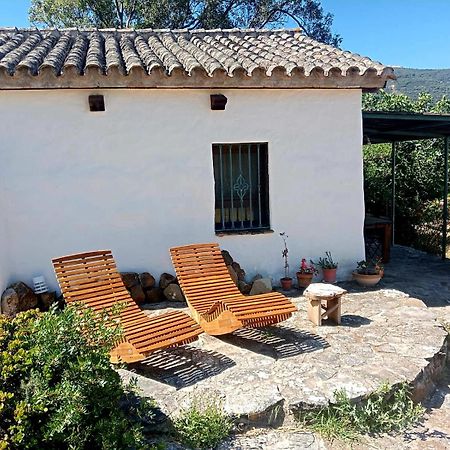 Complejo Rural Del Molino Dorado Facinas Exterior foto