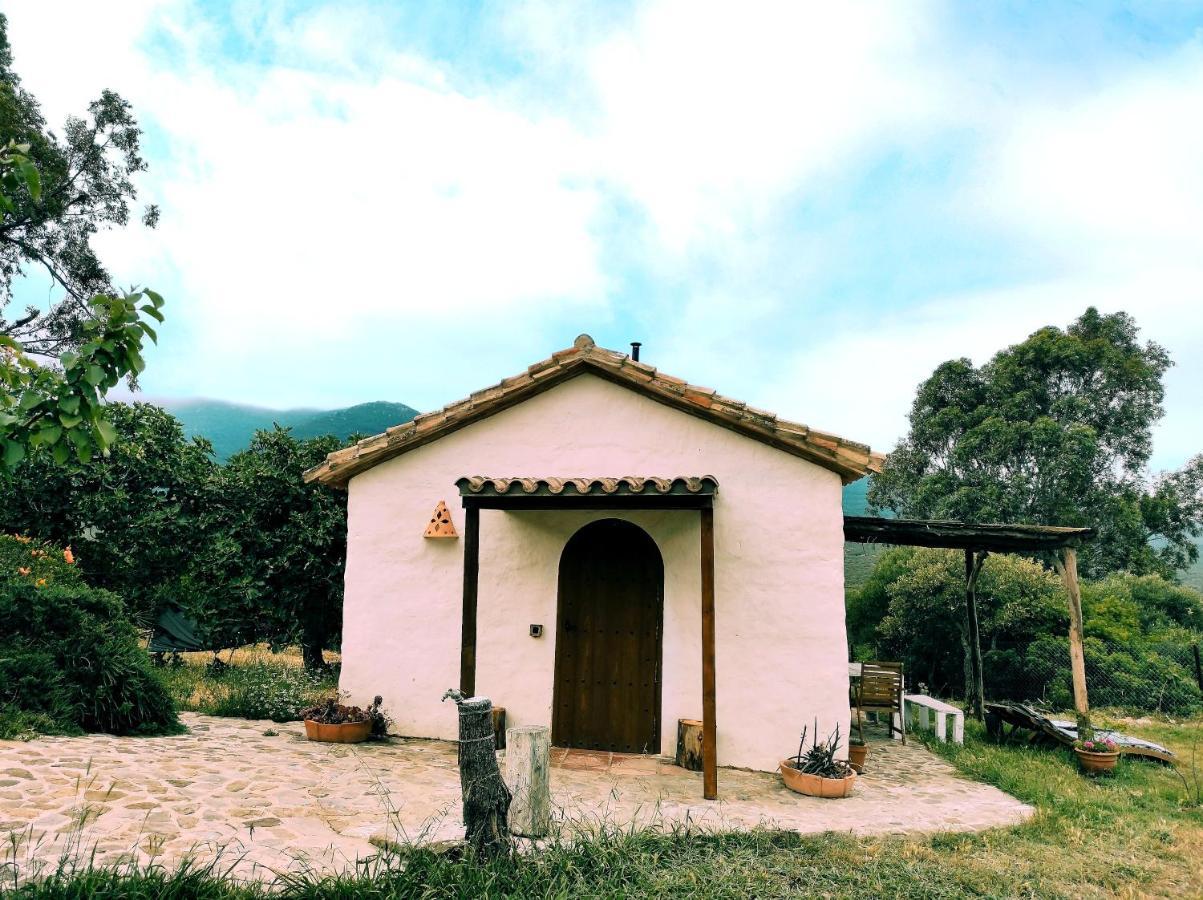 Complejo Rural Del Molino Dorado Facinas Exterior foto